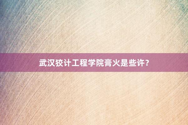 武汉狡计工程学院膏火是些许？