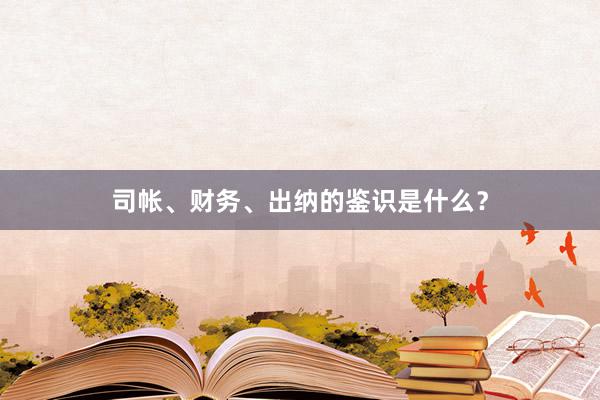 司帐、财务、出纳的鉴识是什么？