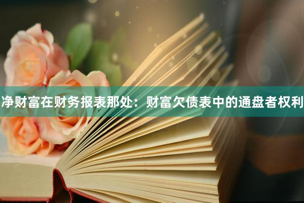 净财富在财务报表那处：财富欠债表中的通盘者权利